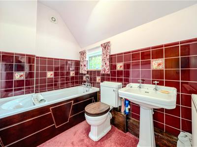 Picture 20
